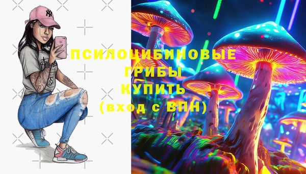 стафф Абдулино