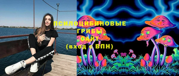 стафф Абдулино