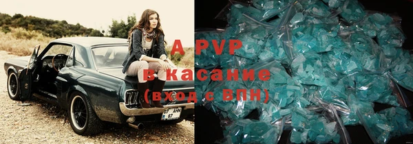 сатива Беслан