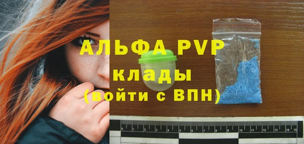дживик Абаза