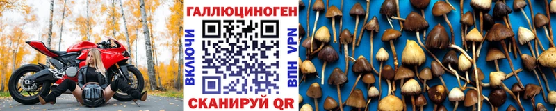 наркота  Ивантеевка  ОМГ ОМГ маркетплейс  Галлюциногенные грибы Psilocybe 